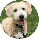 The Silvas profile picture